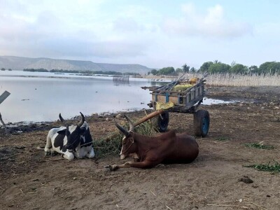 Ekspedicija Madagaskar
