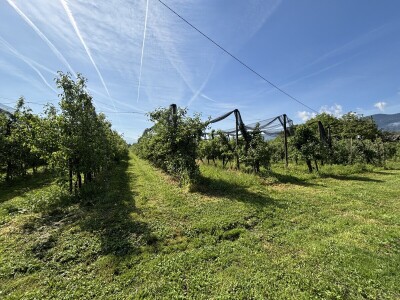 Eksperimentalno ogledni poligon Federalnog zavoda za poljoprivredu