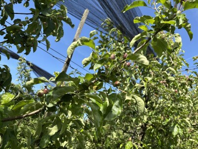 Eksperimentalno ogledni poligon Federalnog zavoda za poljoprivredu