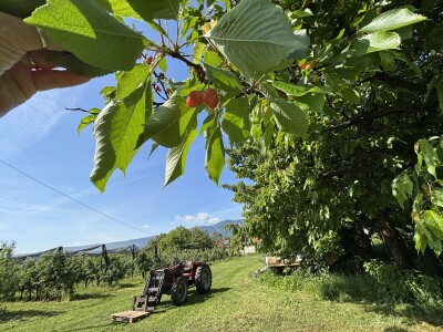Eksperimentalno ogledni poligon Federalnog zavoda za poljoprivredu