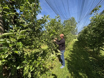 Eksperimentalno ogledni poligon Federalnog zavoda za poljoprivredu