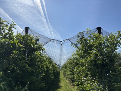 Eksperimentalno ogledni poligon Federalnog zavoda za poljoprivredu