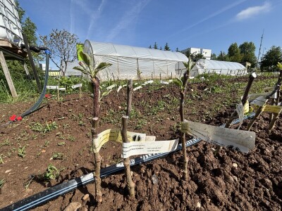 Eksperimentalno ogledni poligon Federalnog zavoda za poljoprivredu