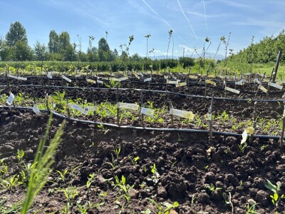 Eksperimentalno ogledni poligon Federalnog zavoda za poljoprivredu