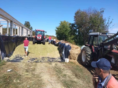 Ekspresno siliranje u Izačiću