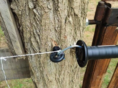 Električni pastir Električni pastir