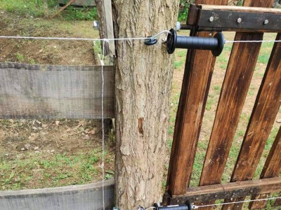 Električni pastir Električni pastir