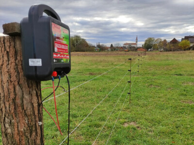 Električni pastir Električni pastir