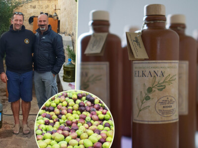 Elkana - prvo hrvatsko košer maslinovo ulje! Elkana - prvo hrvatsko košer maslinovo ulje!