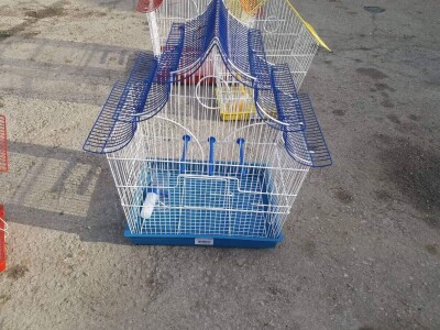 Elvedin Halilović uzgoji 500 papagaja tokom jedne sezone