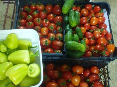 Elvira Lila Delalić: Budućnost ove zemlje leži u poljoprivredi i turizmu