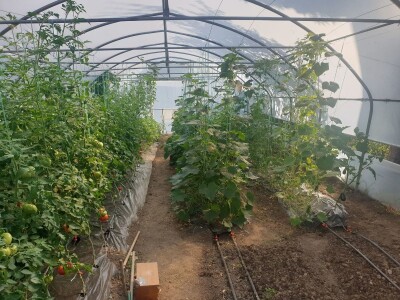 Elvira Lila Delalić: Budućnost ove zemlje leži u poljoprivredi i turizmu