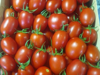 Elvira Lila Delalić: Budućnost ove zemlje leži u poljoprivredi i turizmu