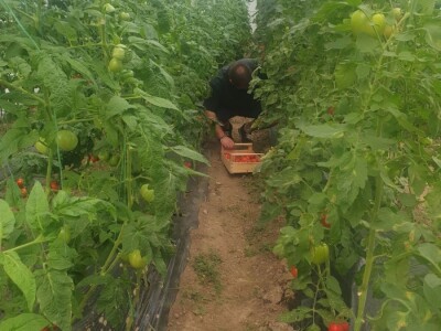 Elvira Lila Delalić: Budućnost ove zemlje leži u poljoprivredi i turizmu