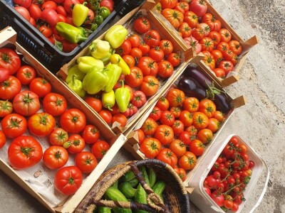 Elvira Lila Delalić: Budućnost ove zemlje leži u poljoprivredi i turizmu