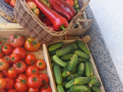 Elvira Lila Delalić: Budućnost ove zemlje leži u poljoprivredi i turizmu