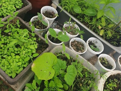 Elvira Lila Delalić: Budućnost ove zemlje leži u poljoprivredi i turizmu