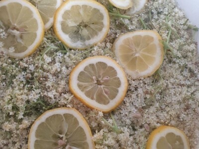 Elvira Lila Delalić: Budućnost ove zemlje leži u poljoprivredi i turizmu