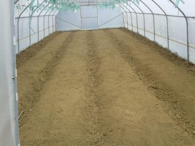 Elvira Lila Delalić: Budućnost ove zemlje leži u poljoprivredi i turizmu