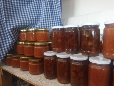 Elvira Lila Delalić: Budućnost ove zemlje leži u poljoprivredi i turizmu