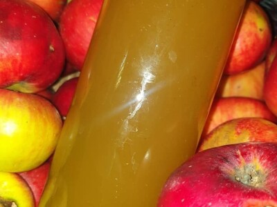 Elvira Lila Delalić: Budućnost ove zemlje leži u poljoprivredi i turizmu