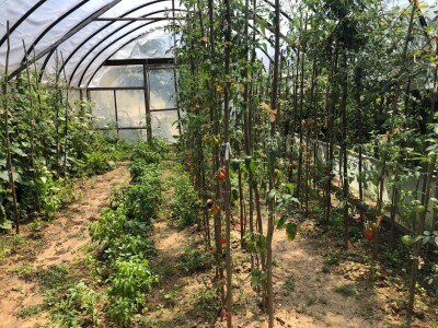 Elvira Serdarević: Proizvodnja zdrave hrane je moja životna misija