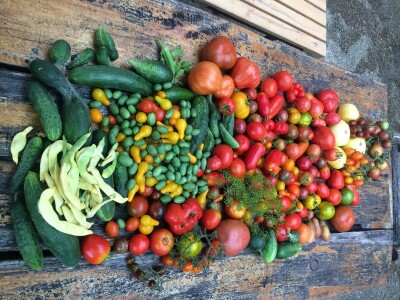 Elvira Serdarević: Proizvodnja zdrave hrane je moja životna misija