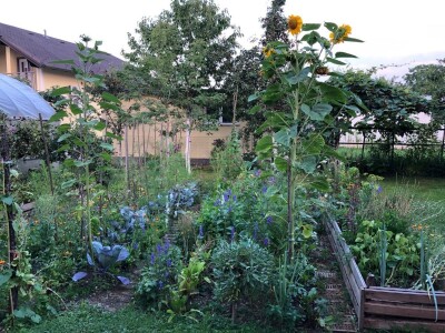 Elvira Serdarević: Proizvodnja zdrave hrane je moja životna misija