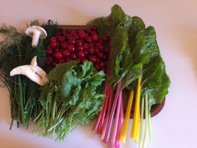 Elvira Serdarević: Proizvodnja zdrave hrane je moja životna misija