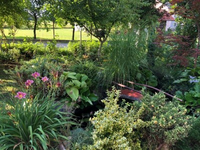 Elvira Serdarević: Proizvodnja zdrave hrane je moja životna misija