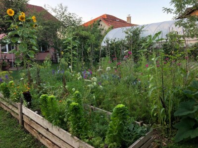 Elvira Serdarević: Proizvodnja zdrave hrane je moja životna misija