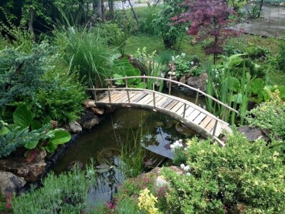 Elvira Serdarević: Proizvodnja zdrave hrane je moja životna misija