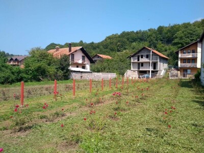 Emir Hadžijusufović proizvodi prirodni sirup od ruže