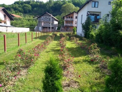 Emir Hadžijusufović proširio paletu proizvoda od ruže Emir Hadžijusufović proširio paletu proizvoda od ruže