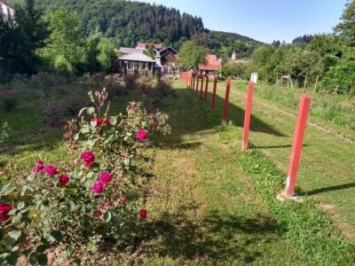 Emir Hadžijusufović proširio paletu proizvoda od ruže Emir Hadžijusufović proširio paletu proizvoda od ruže