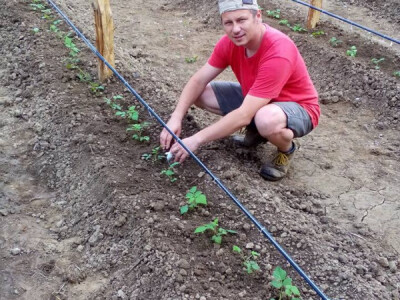 Oživjeli Hadžijin mlin i zasadili dulum malina Oživjeli Hadžijin mlin i zasadili dulum malina