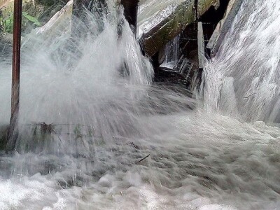 Emir Zjajo, pokrenuo vodenicu i nastavio stogodišnju tradiciju