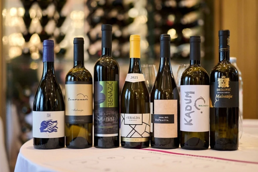 Slika vina