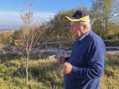 Energetska polja u Drenajiću