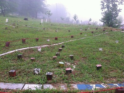 Energetska polja u Drenajiću