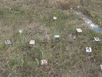 Energetska polja u Drenajiću