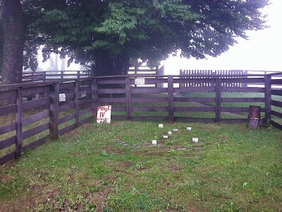 Energetska polja u Drenajiću