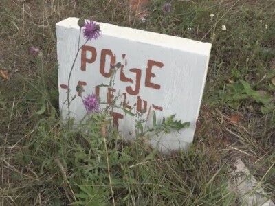 Energetska polja u Drenajiću