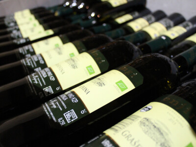 Vina Enjingi Vina Enjingi