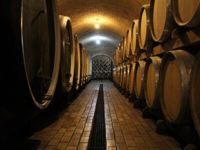 Vinski podrum Enjingi Vinski podrum Enjingi