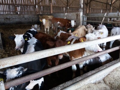 ePropusnice i sjetva