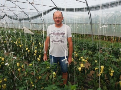 ePropusnice i sjetva