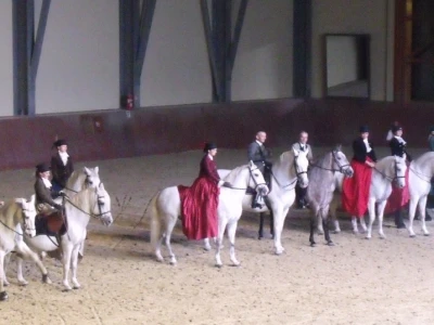 Lipicanci