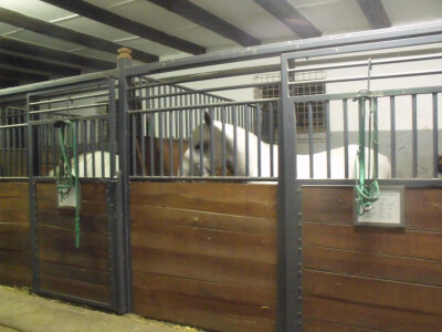 Glavni glumci na odmoru