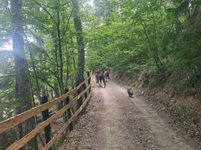 Ergela u selu Malkoč/Lučice iznad Fojnice